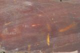 Mookaite Jasper Slab (Not Polished) - Australia #141554-1